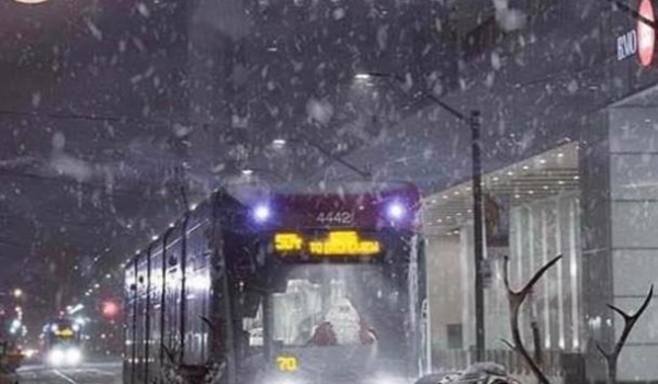 Winter and Streetcars and Reindeer, Oh my! 