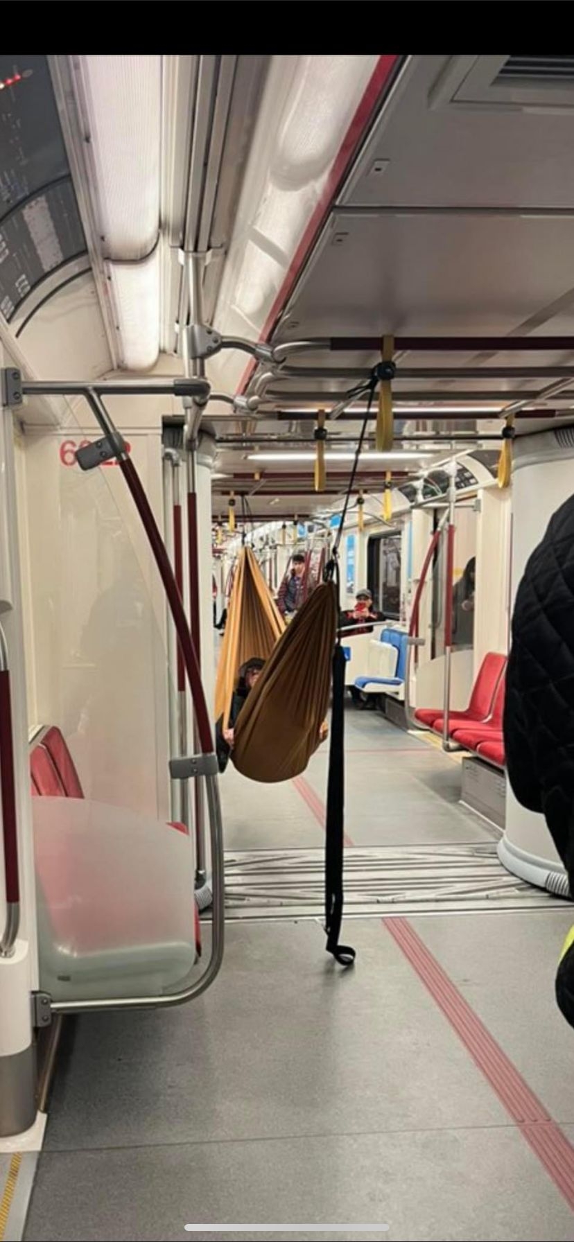 Just a Guy in his hammock on TTC