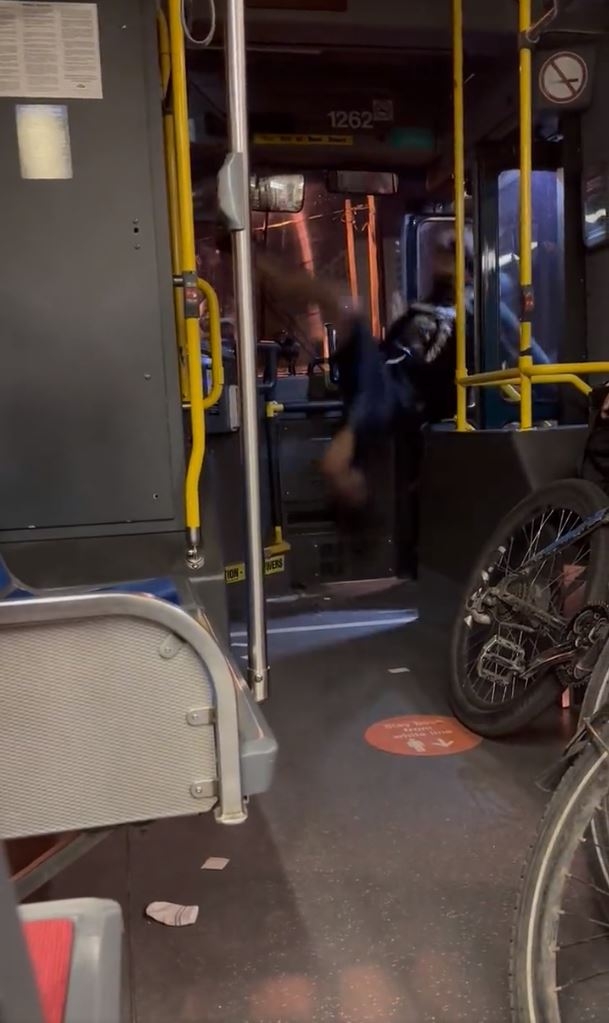 Young Punk Kicks TTC Bus Barrier